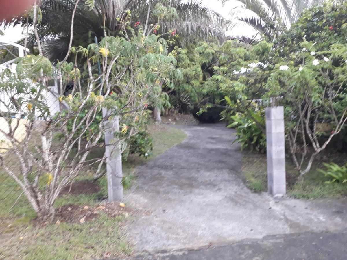 Ti Case Gwada Location サンタンヌ エクステリア 写真